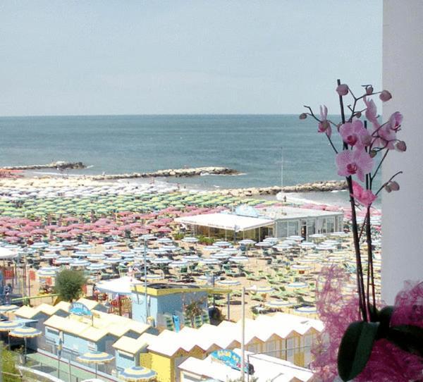 Hotel Alba Misano Adriatico Buitenkant foto